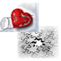 Hasta en la red... TOM